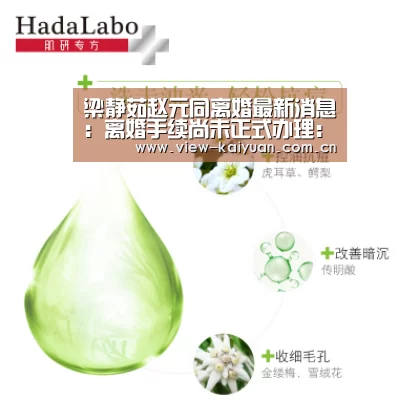 梁静茹赵元同离婚最新消息:离婚手续尚未正式办理:ky sports(图2) 开元棋牌官方下载