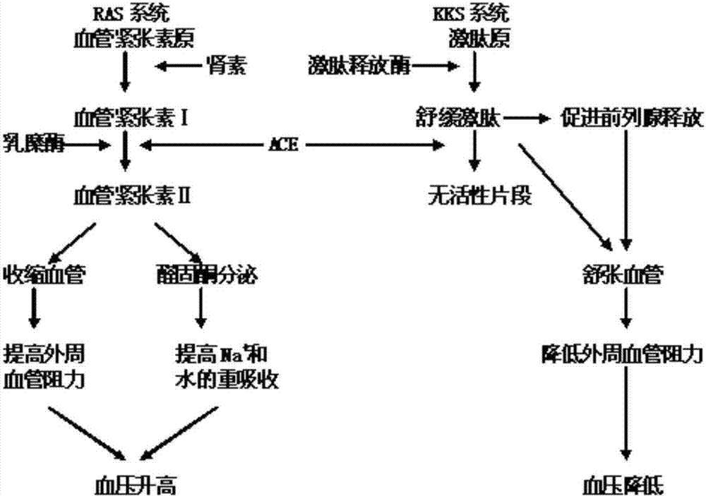 “开元棋牌官方下载”三维激光扫描让隐性安全风险“现身”(图1) 开元